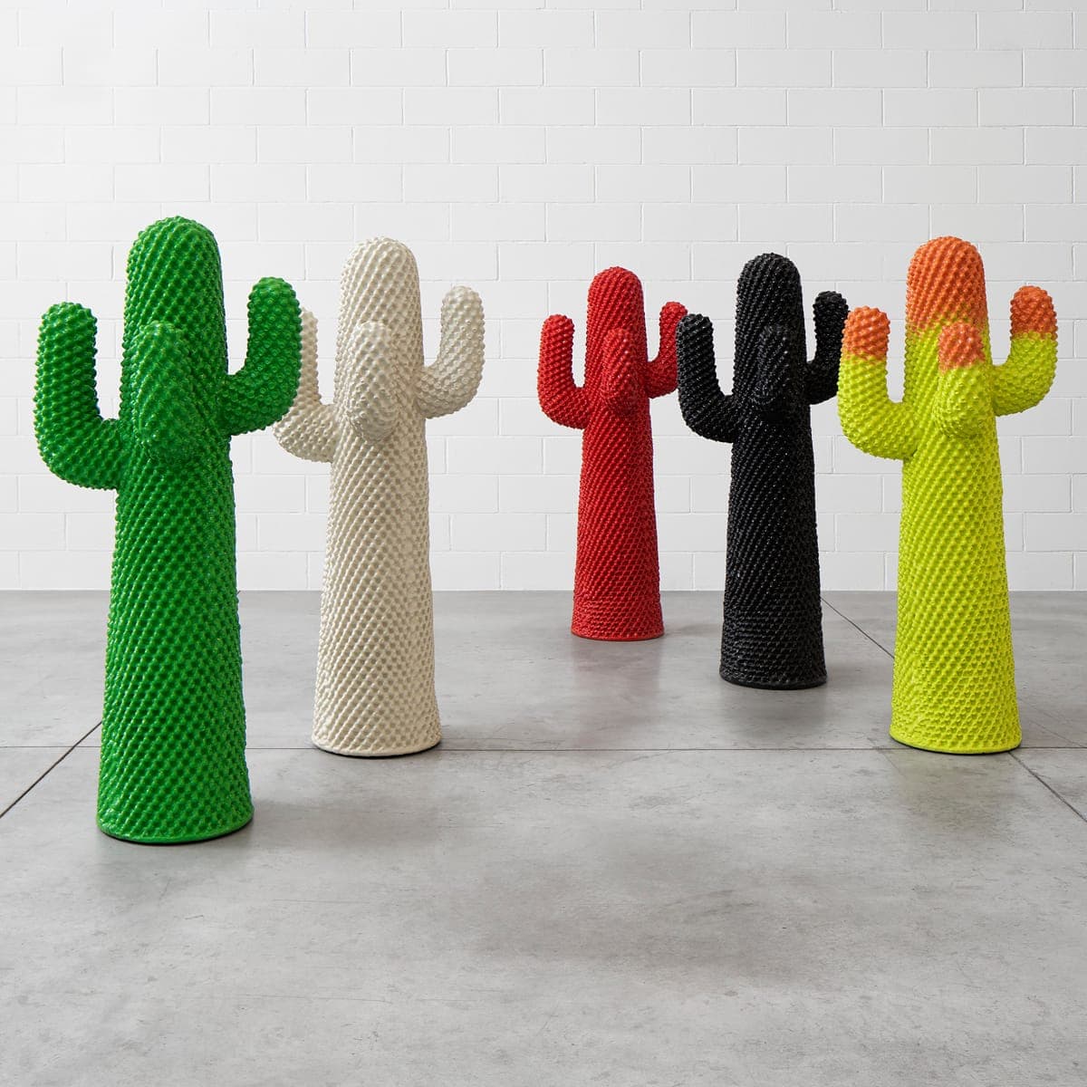 구프람 칵투스 네로 Cactus Nero 라이프스타일 이미지 2