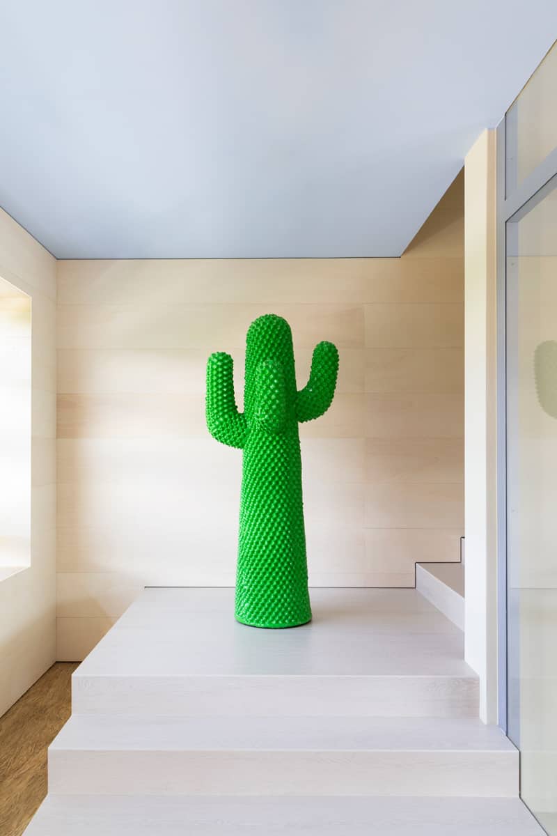 구프람 칵투스 네로 Cactus Nero 라이프스타일 이미지 6