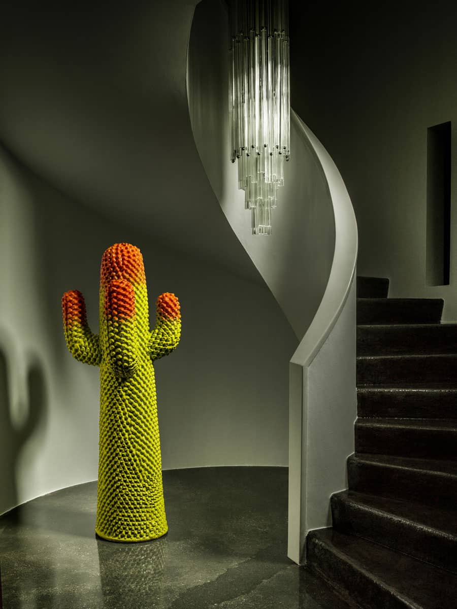 구프람 칵투스 네로 Cactus Nero 라이프스타일 이미지 7