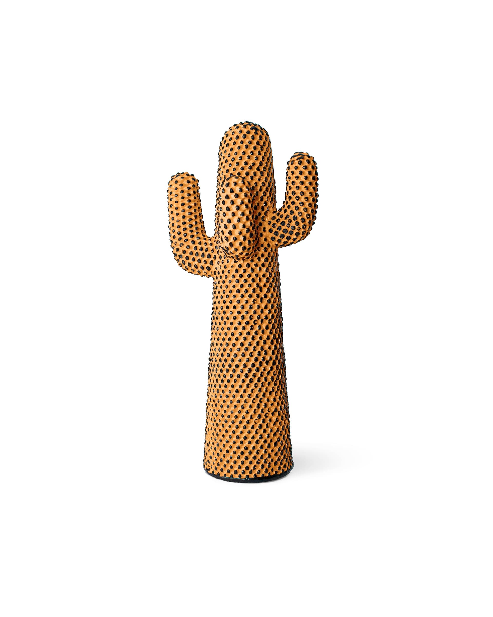 앤디즈 칵투스 ANDY'S CACTUS 플랫샷