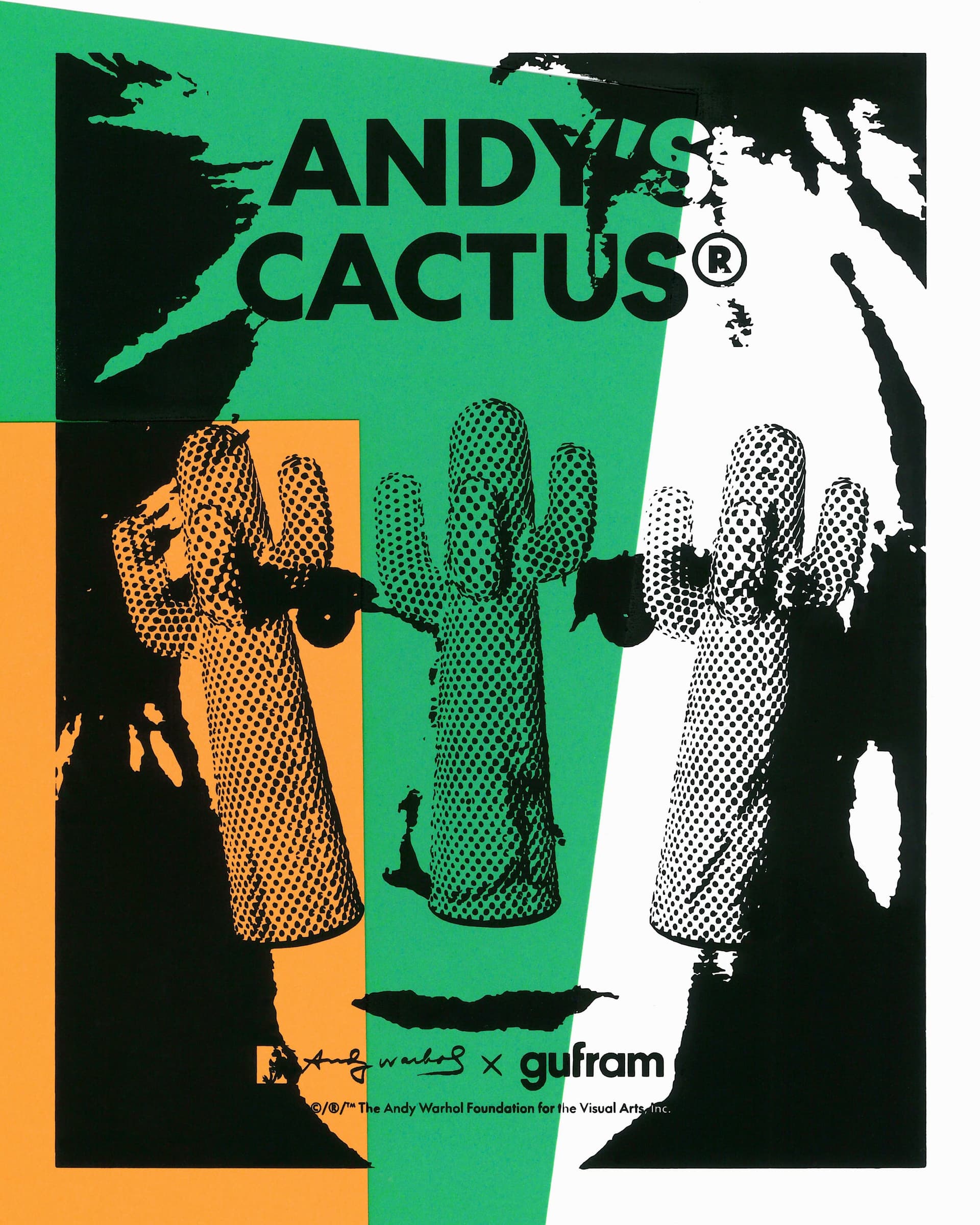 앤디즈 칵투스 ANDY'S CACTUS 라이프스타일 이미지 1