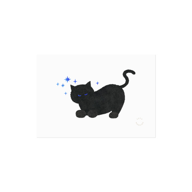 midnight cat 카드, BENUFE, 코타멘션 Cotamansion
