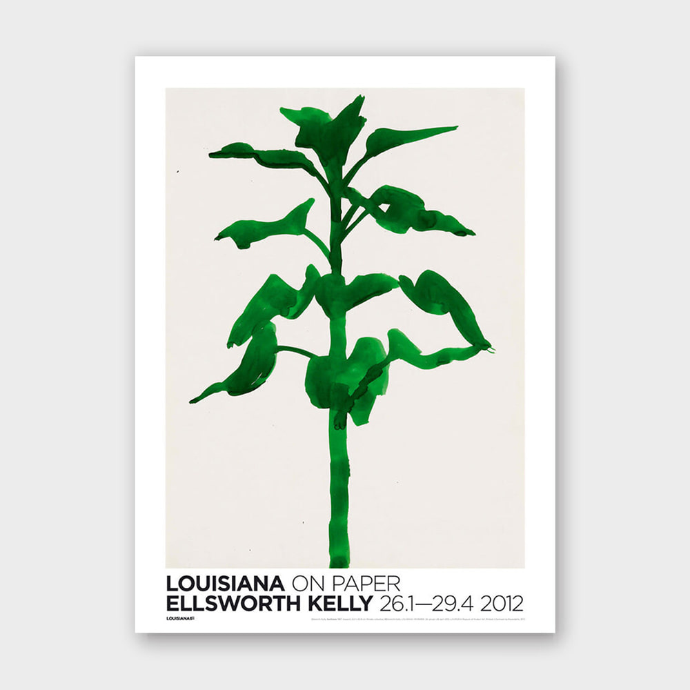 엘스워스 켈리 ELLSWORTH KELLY - SUNFLOWER (액자포함) 59.4 x 84.1cm, 베뉴페, 마이온프라이빗 myownprivate